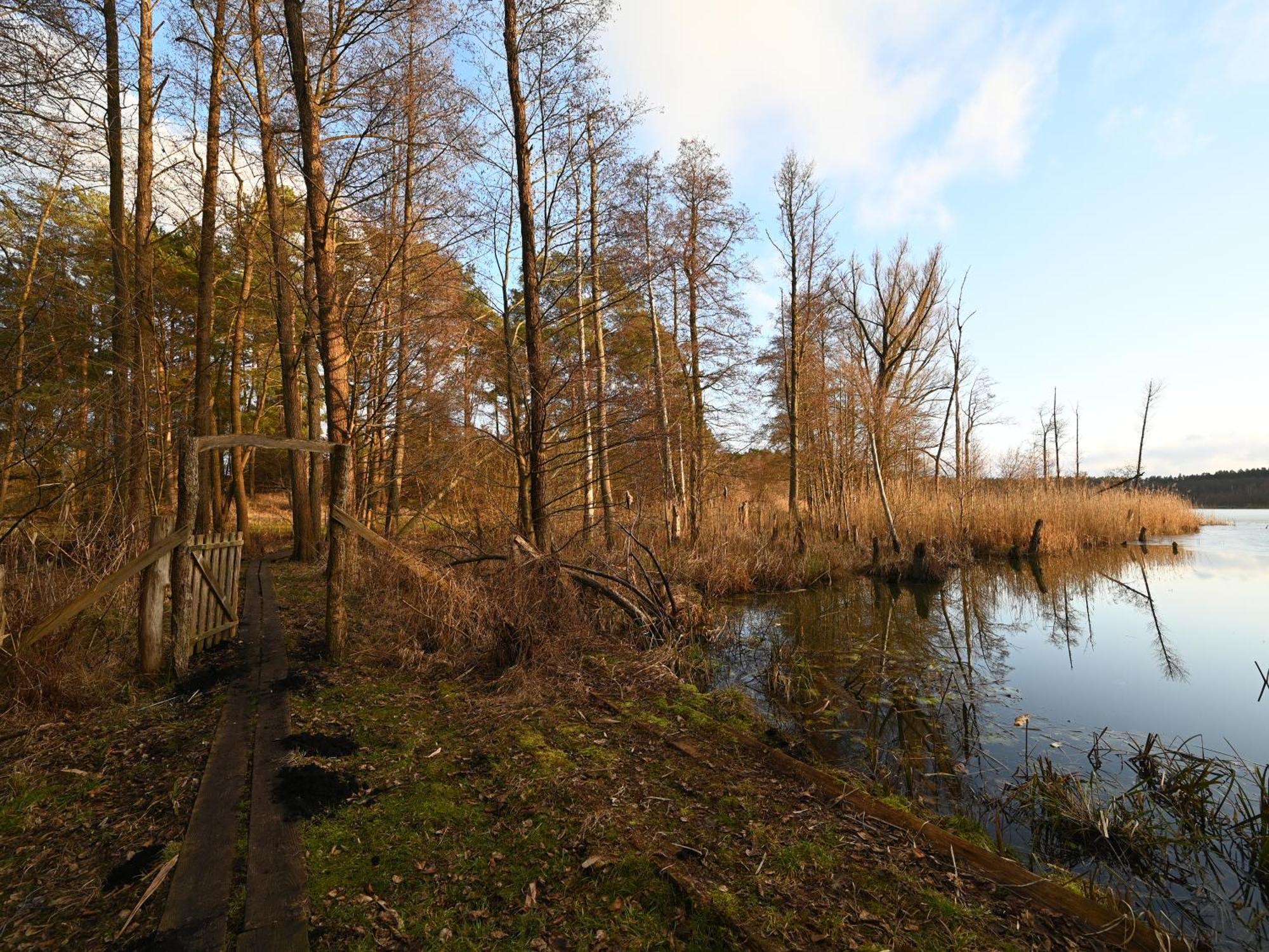 Ferienhaus-Park Brennickenswerder Lychen Kültér fotó