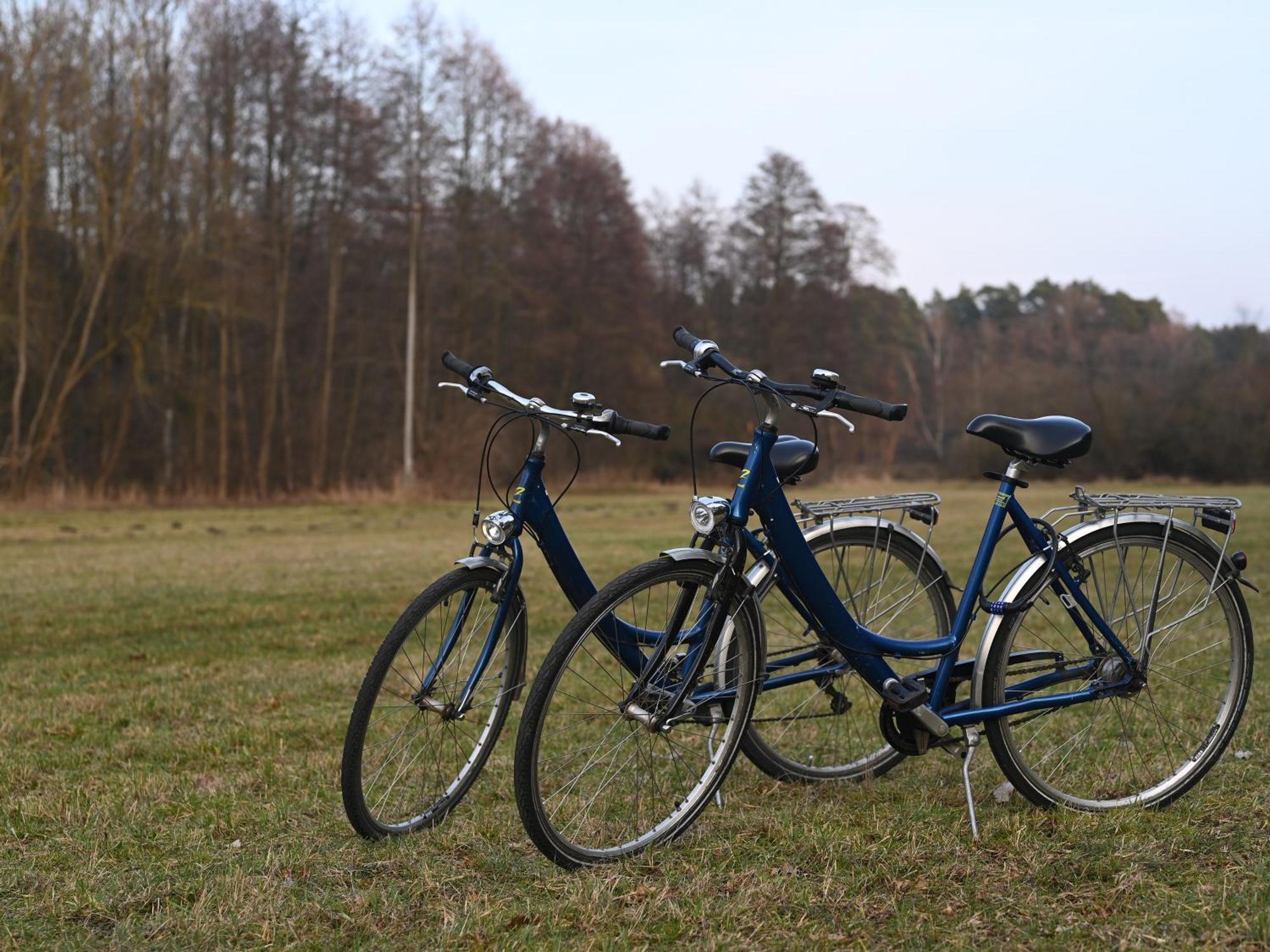 Ferienhaus-Park Brennickenswerder Lychen Kültér fotó