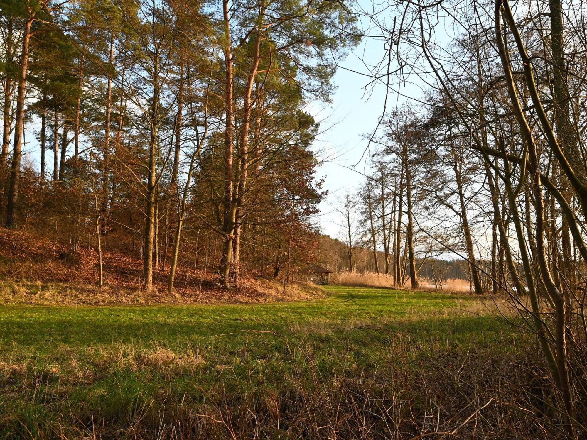 Ferienhaus-Park Brennickenswerder Lychen Kültér fotó